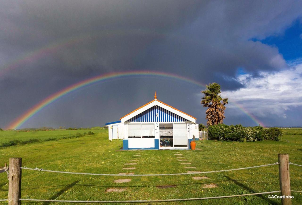 Vila Casa Dos Flamingos Murtosa Exteriér fotografie