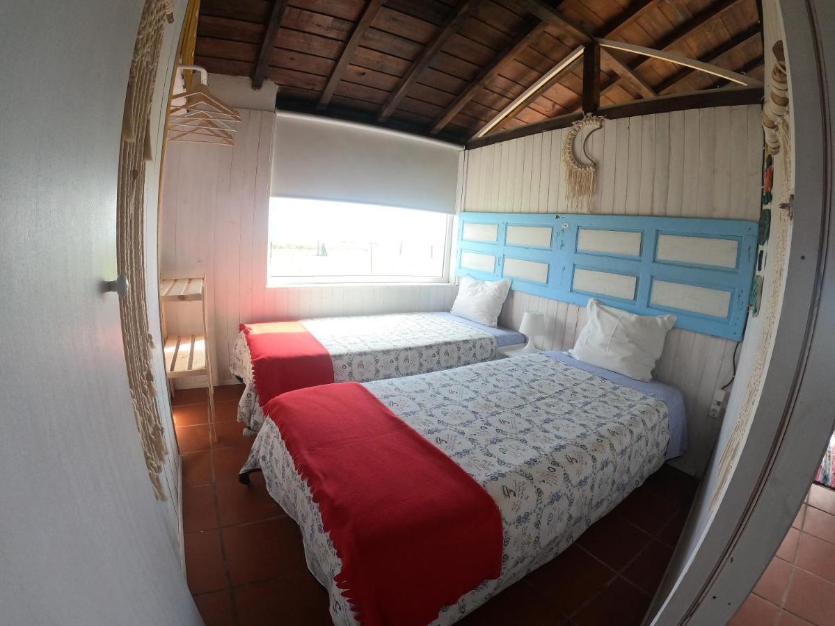 Vila Casa Dos Flamingos Murtosa Exteriér fotografie