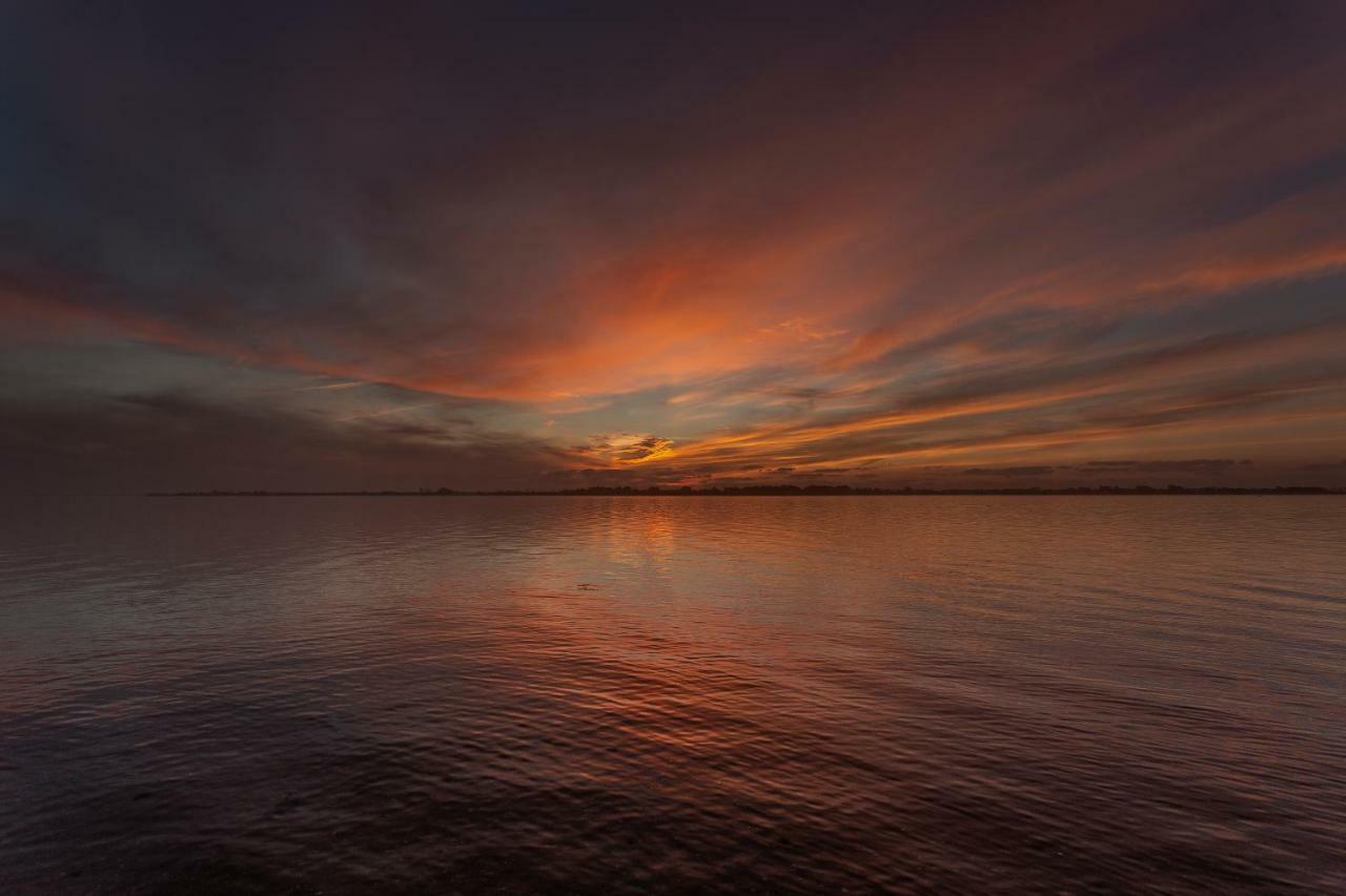 Vila Casa Dos Flamingos Murtosa Exteriér fotografie